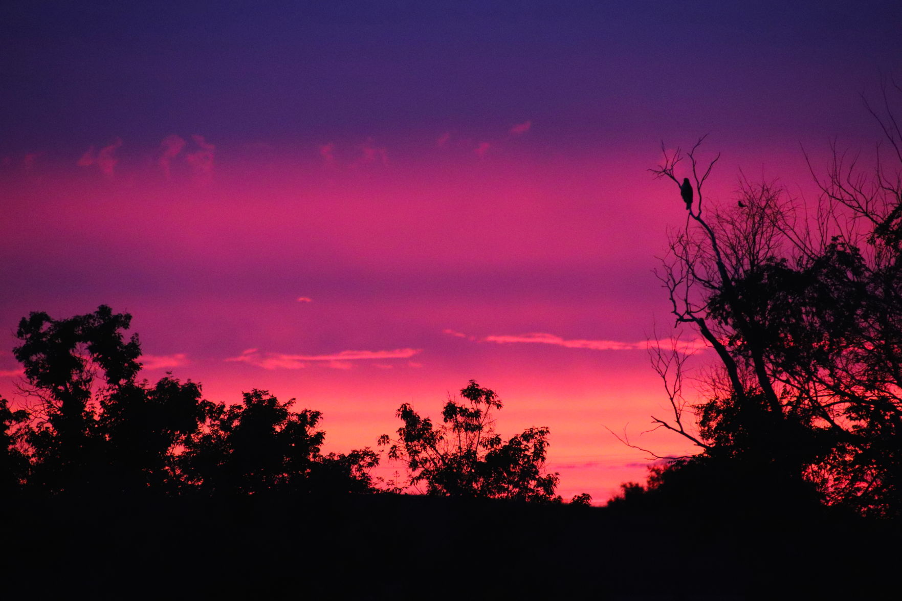 Dazzling Dusk